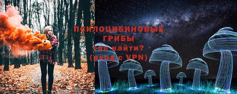 Псилоцибиновые грибы Cubensis  Калязин 